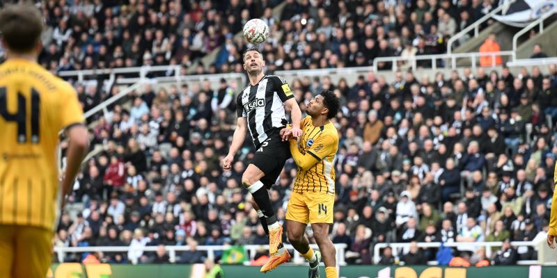 Nhận xét phong độ Newcastle vs Brighton Hove Albion